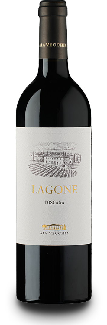 Sor Ugo Bolgheri Rosso Superiore DOC Aia Vecchia