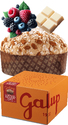 Panettone Gran Galup Frutti di Bosco e Cioccolato Bianco Galup 750g
