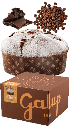 Panettone Gran Galup Caffè e Cioccolato mit Kaffee-Cremefüllung Galup 900g